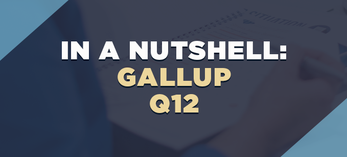 In a Nutshell: Gallup Q12 | Business Models
