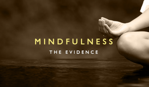 The Evidence for Mindfulness: A Research Summary for the Corporate Sceptic | Emotional Intelligence